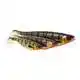 Shad Teez - 7 cm - Bass Orange