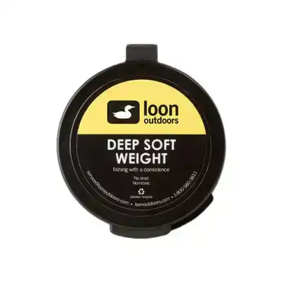 Deep Soft Weight