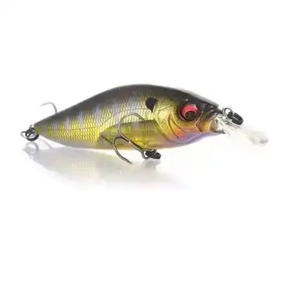 Flap Slap LBO - GLX Galaxy Gill