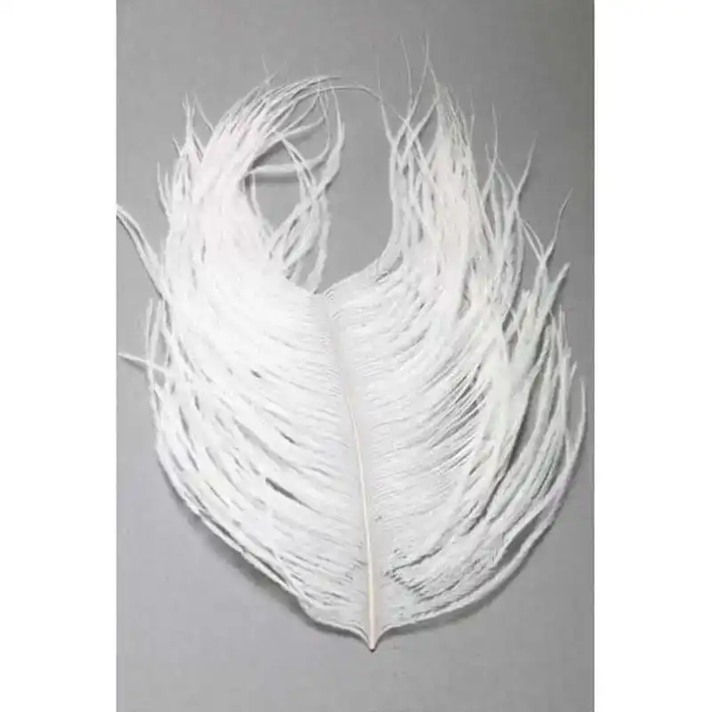 Ostrich Plumes - Black