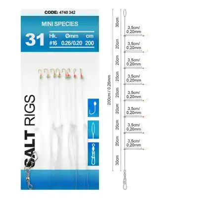 Mini Species - Salt Rig 31