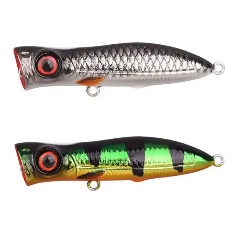 Iris Pop - 5,5 cm - Fire Tiger