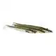 Magic Minnow - 10,5 cm - Bright White