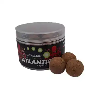 Wafters Atlantis