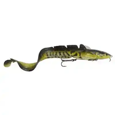 3D Shallow Burbot
