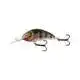Hornet 9 - Holo Grey Shiner