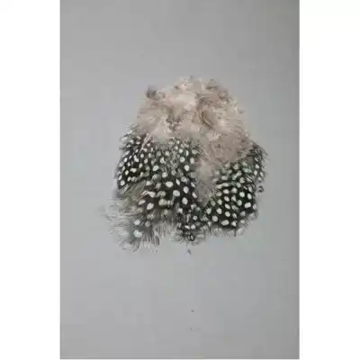 Strung Guinea Feathers