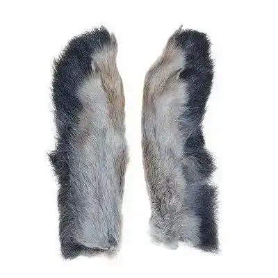 Jack Rabbit Feet