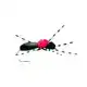 Hi-Vis Black Foam Ant - Haken: 14