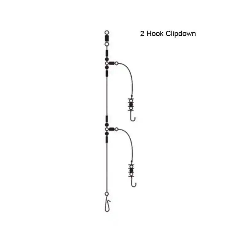 2 Hook Clipdown Rig - Haak: 1/0