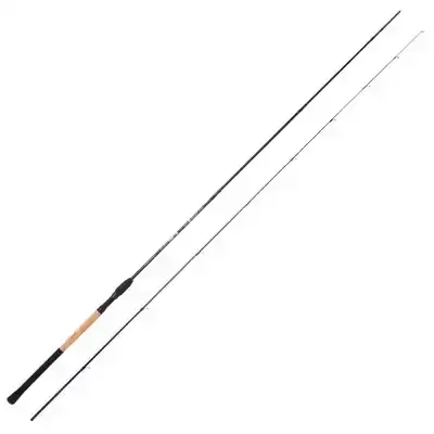 Blackthorne Pro C Float Power - 3,60 m - 5 bis 20 Gramm