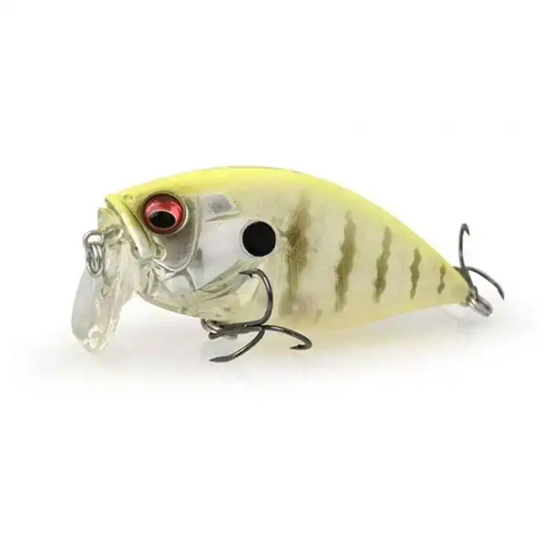 ORC Burning Shad LBO - Gillkko