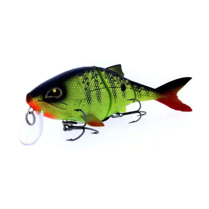 Sweet Meat - Albino Koi