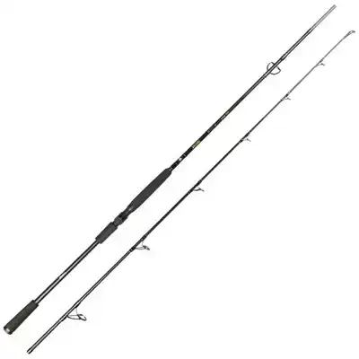 Big Lure Spin Rod