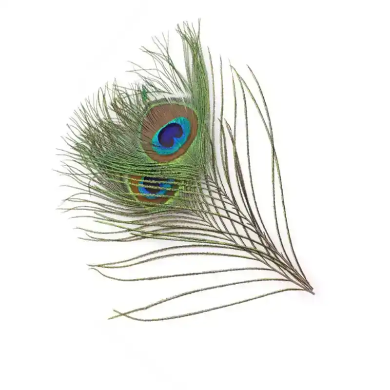 Peacock Eyes
