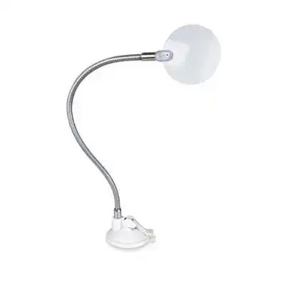 Magnifying Glass With Suction Cup Base