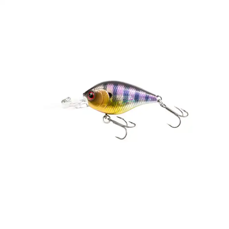 Kaishin Crank 45DR - Aurora Gill
