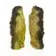 Jack Rabbit Feet - Olive