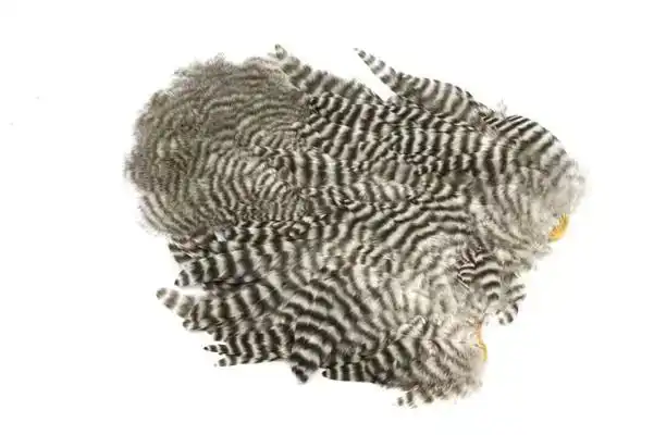 Whiting Rooster SH/C