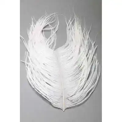 Ostrich Plumes