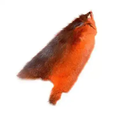 American Ondatra - Sunburst