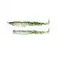 Black Eel Shallow Combo - No. 2 (110) - 4 gram - Ghost Minnow