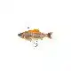 3D Roach RTF Swim - 14 cm - 40 gram - Albino