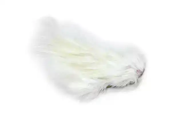 Bird Fur White