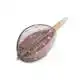 Pellet Method Feeder - Large - 45 gram