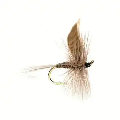 Blue Dun - Haken: 14