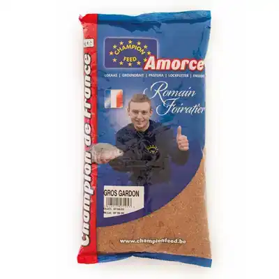 Champion De France Grote Voorn