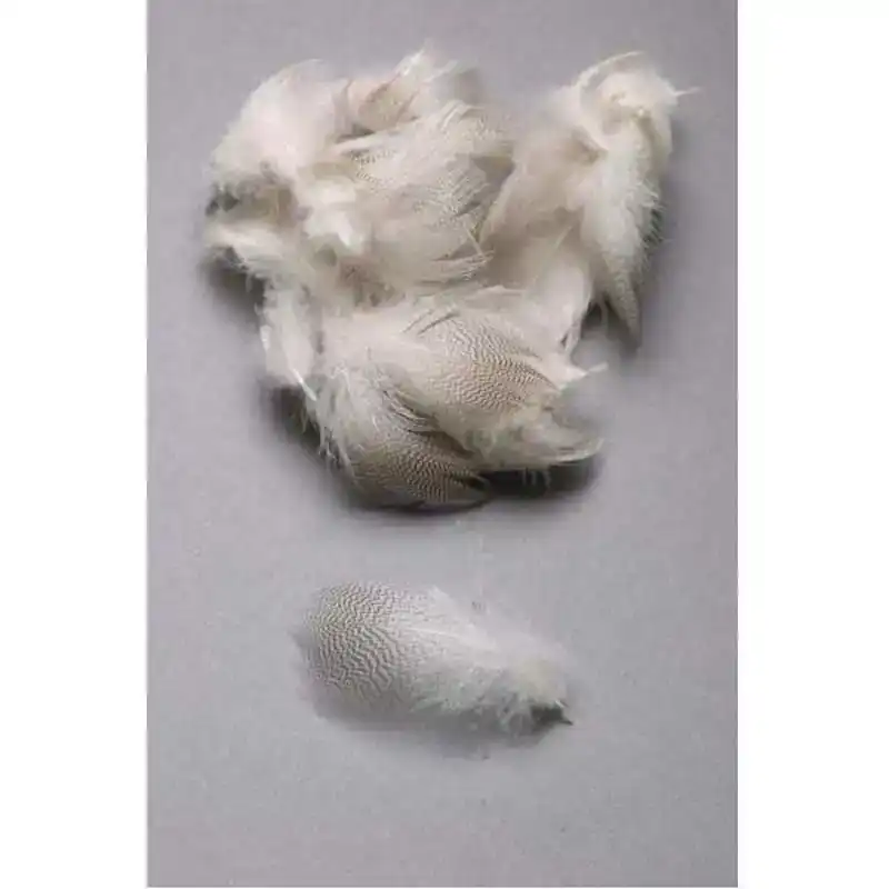 Mallard Flank - Fluo Pink