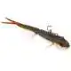 Twinteez Pelagic V-Tail Ready & Rigged - 21 cm - Baitfish Gh