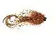 Waterpushing Pike Flies - 1# - Brown