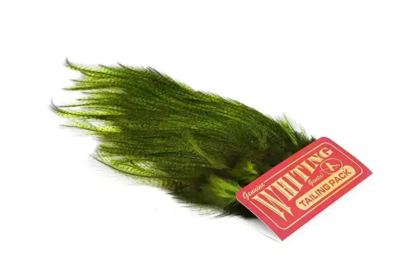 CDL Euro Nymph Tailing Pack Pardo dyed Fl Green Chartreuse