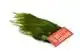 CDL Euro Nymph Tailing Pack Pardo dyed Fl Green Chartreuse