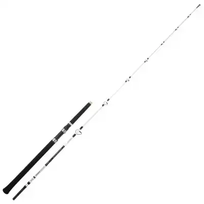 Salty Beast Mega Jig Spin Rod - 2,10 m - tot 450 gram