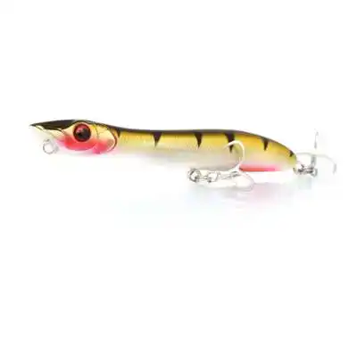 Patchinko 85 - Sun Sprat