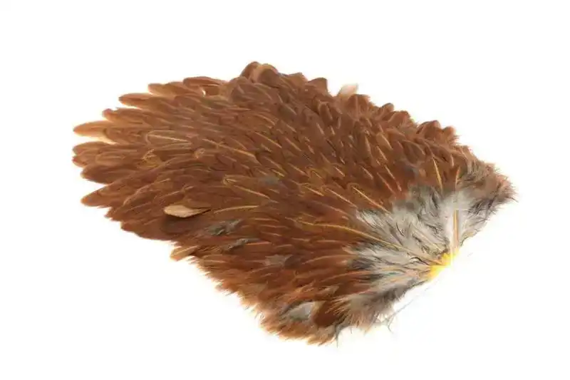 4 B's Hen Saddle Brown