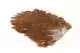 4 B's Hen Saddle Brown
