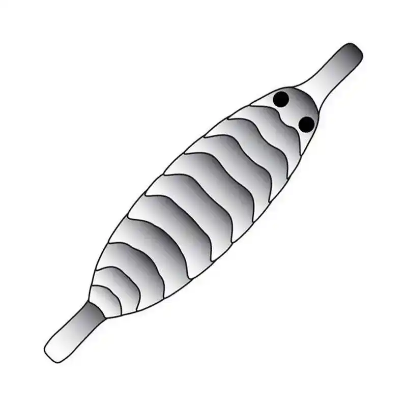 Gammarus Shell Back Black L