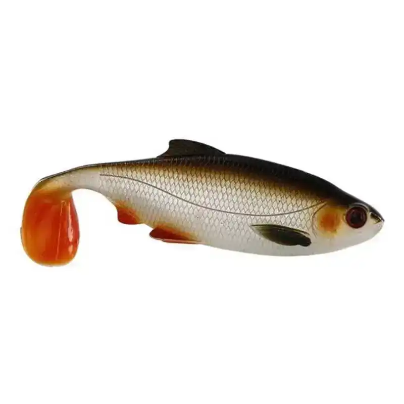 Ricky The Roach SL/ST - 10 cm - Fire Tiger