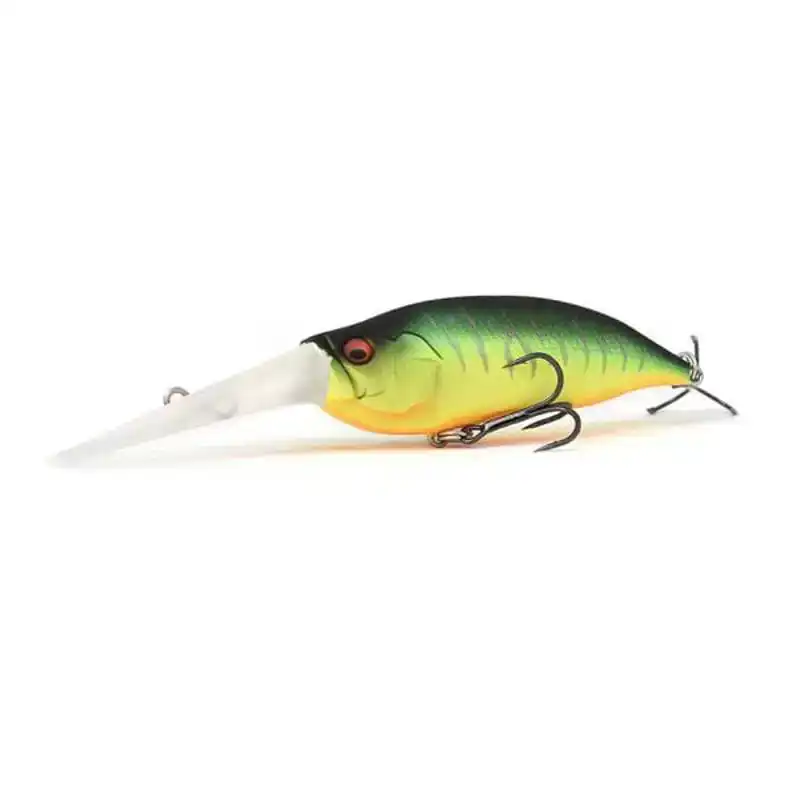 IXI Shad TX LBO - Black Hole
