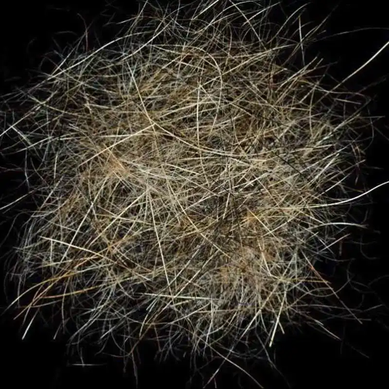 Alpin Fur - 01 Natural