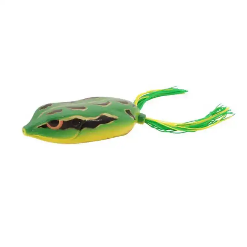 Bronzeye King Daddy - Green Tree