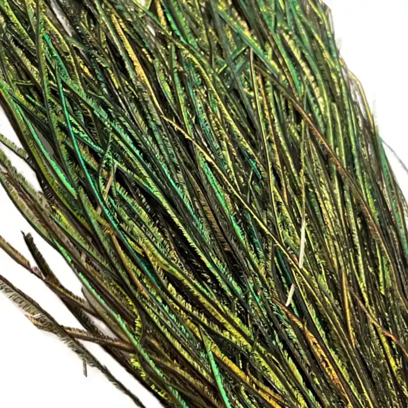 Pauwenfibers - Peacock herl