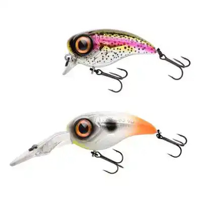 Fat Iris 40