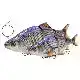 3D Line Thru Roach - 18 cm - Sinking - Black