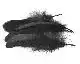 Goose Shoulder Soft Bleached - Black