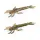 DRGN - 3,5'' - 05